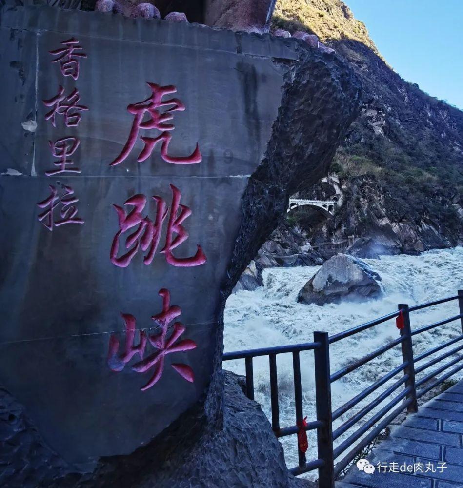 探索知识星球平台,轻松学习蓖麻子有剧毒,这种危险植物,农民过去为啥会大量种植?